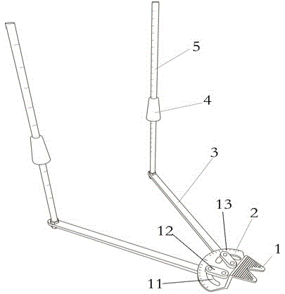 Oar angle and height positioning device