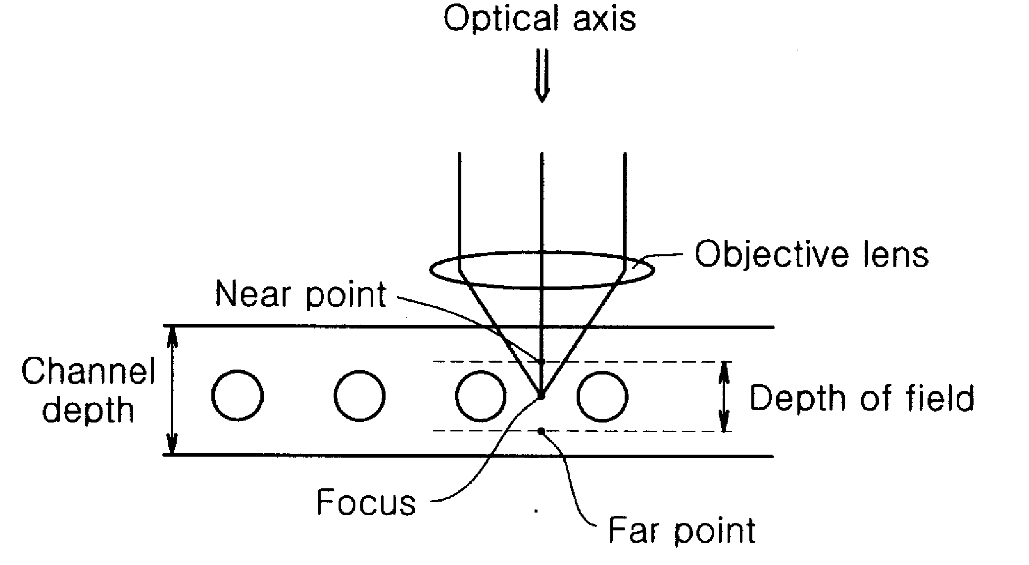 Chip Having Microchannel For Counting Specific Micro Particles Among Floating Micro Particle Mixture By Optical Means And A Method For Counting Micro Particles Using The Same