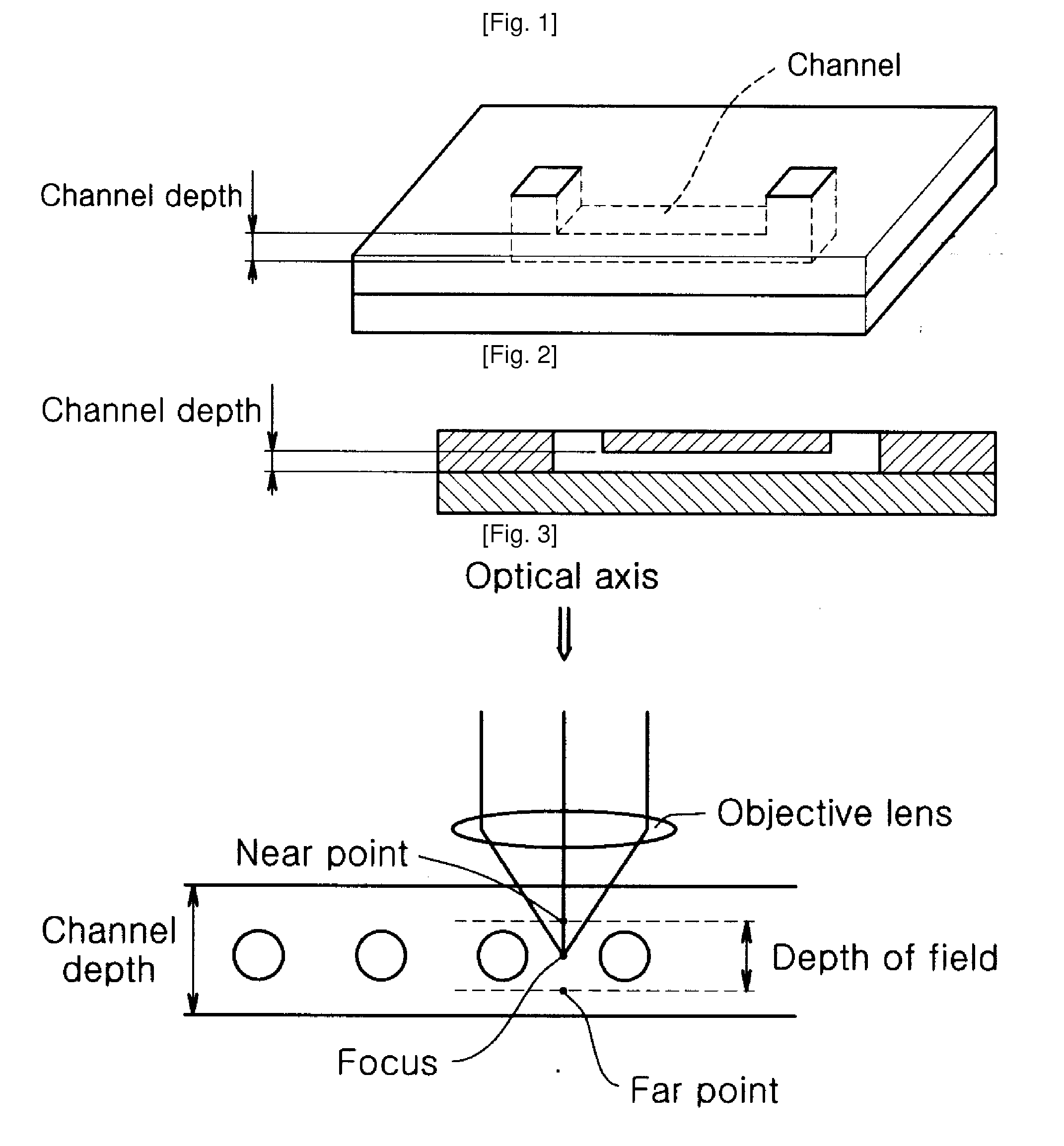 Chip Having Microchannel For Counting Specific Micro Particles Among Floating Micro Particle Mixture By Optical Means And A Method For Counting Micro Particles Using The Same