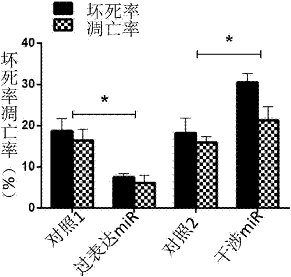 Applications of miR125b-5p in preparing drugs used for preventing endothelial cell damages