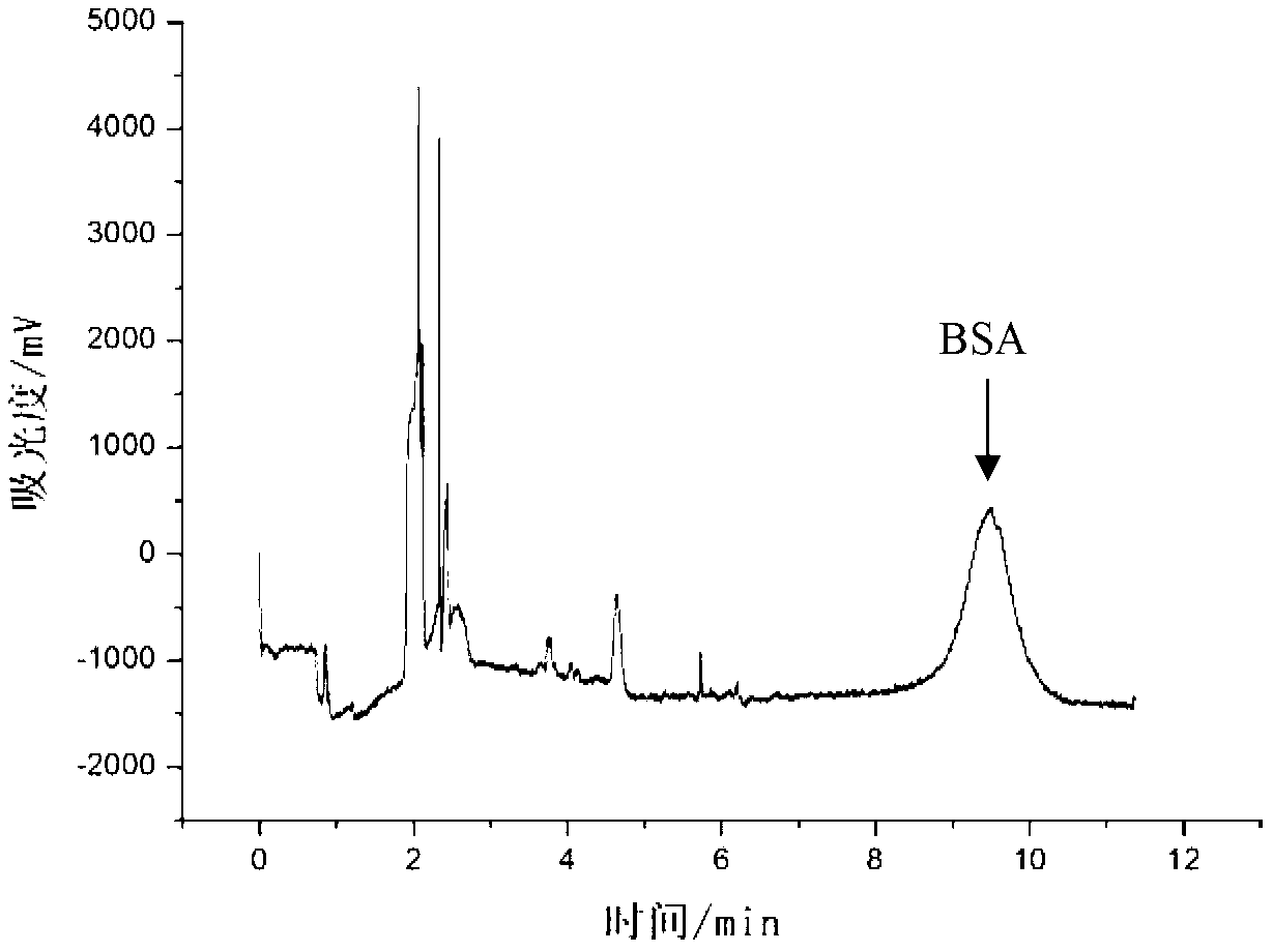 Device and method for transferring and analyzing proteins in gel on line