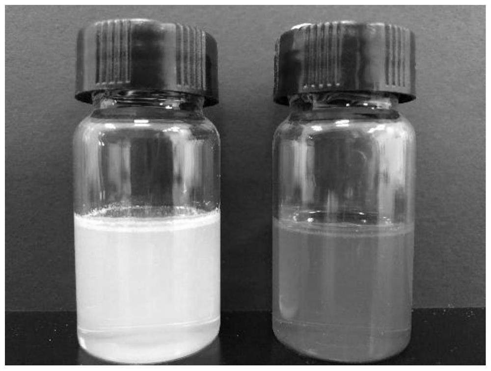 Preparation method and product of ceramide and fat-soluble active matter skin co-permeation carrier
