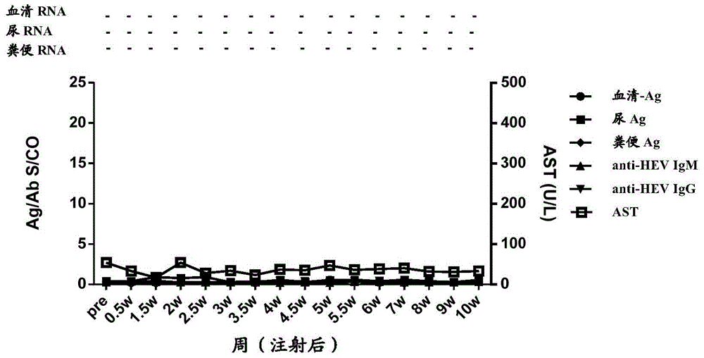 Methods and kits for diagnosing hepatitis E virus infection