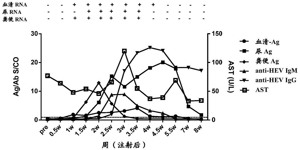 Methods and kits for diagnosing hepatitis E virus infection