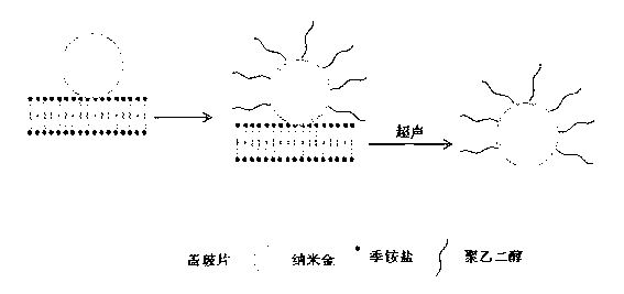 Colloidal gold partly modified by polyethylene glycol and preparation method thereof