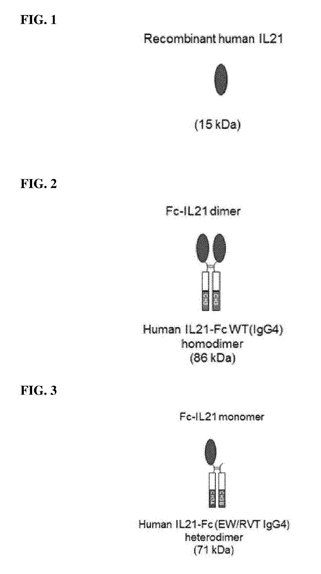 Il-21 (heterodimeric fc-fused il-21) fused to immunoglobulin heavy chain constant region heterodimer (heterodimeric fc), and pharmaceutical composition comprising same