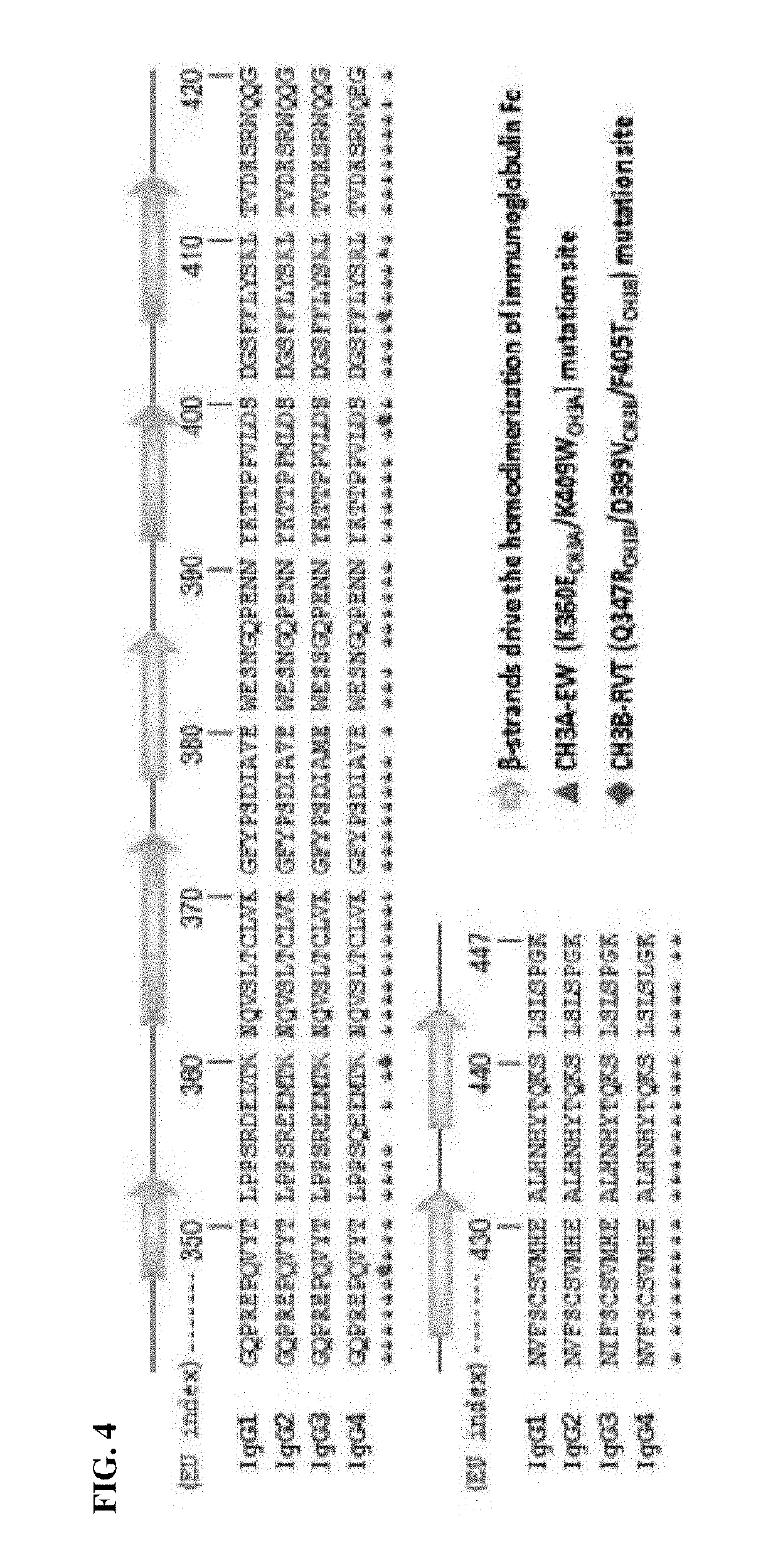 Il-21 (heterodimeric fc-fused il-21) fused to immunoglobulin heavy chain constant region heterodimer (heterodimeric fc), and pharmaceutical composition comprising same