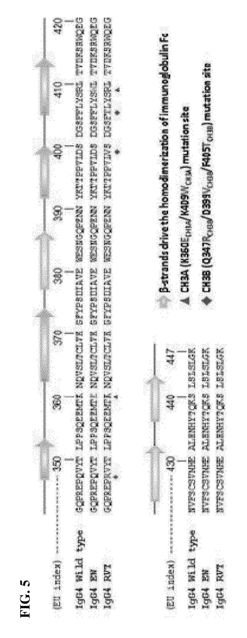 Il-21 (heterodimeric fc-fused il-21) fused to immunoglobulin heavy chain constant region heterodimer (heterodimeric fc), and pharmaceutical composition comprising same