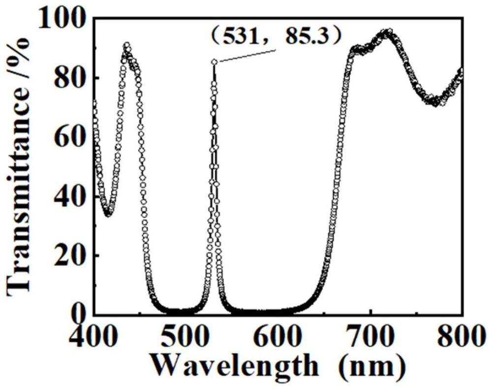 A band-pass filter graphene photodetector for visible to near-infrared light