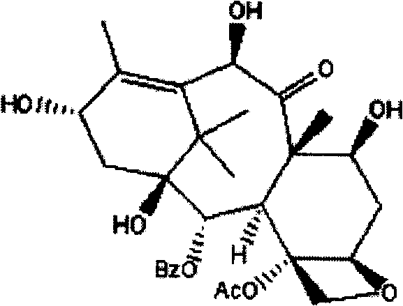 Method for extracting and purifying two kinds of taxane compound from yew branches and leaves