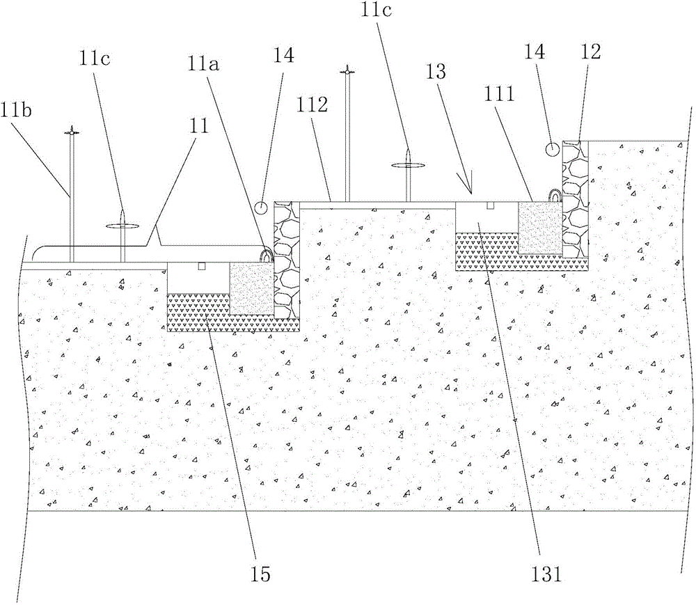 Insect damage prevention type tea planting method