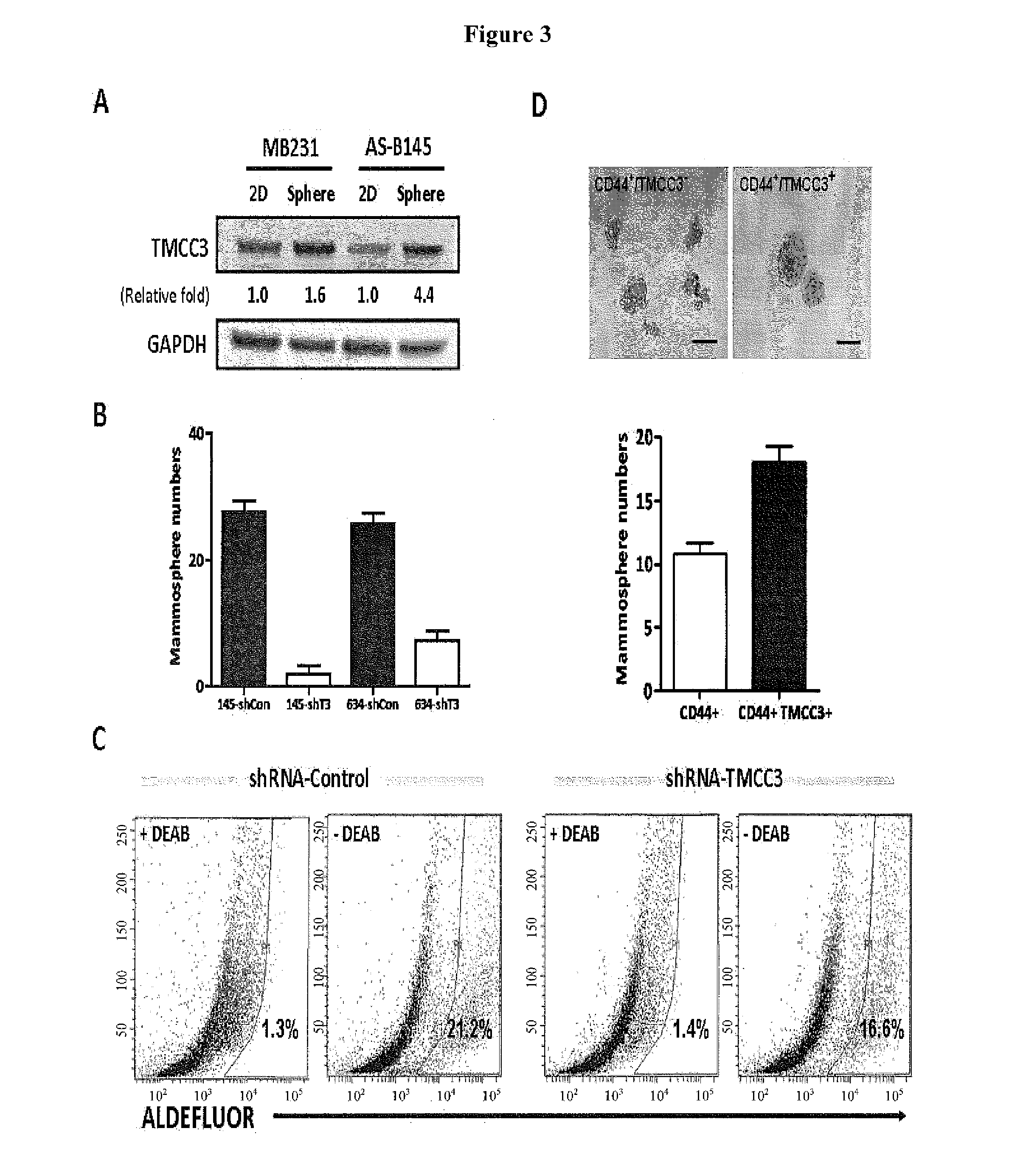 Methods for suppressing cancer by inhibition of tmcc3