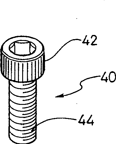 Screw holder with hook