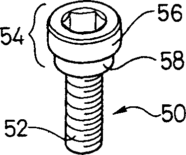 Screw holder with hook