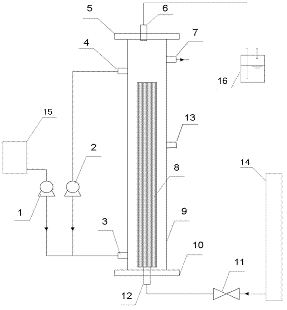 System for enriching denitrifying anaerobic methane oxidation microorganisms and method thereof
