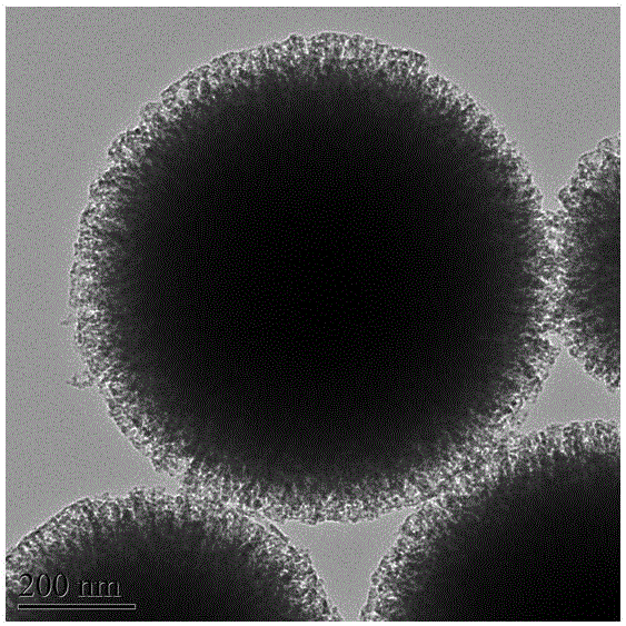 Micro-nano bioactive glass microsphere with surface nanometer pore structure and preparation method thereof