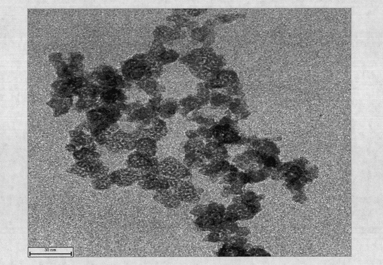 Method for preparing magnetic iron oxide nano particles