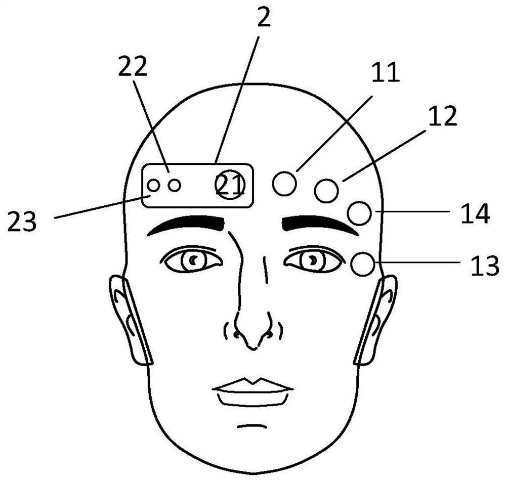 Blood parameter and electrophysiological parameter detection method based on photoelectric fusion