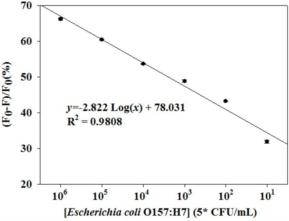 Method for detecting escherichia coli O157:H7