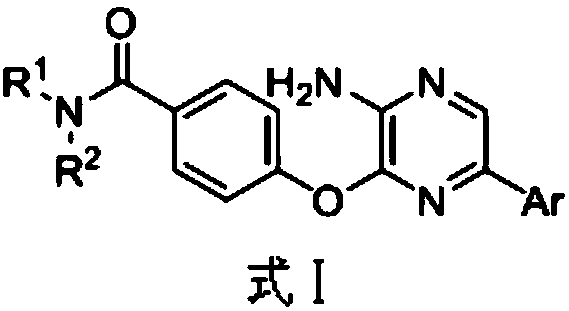 3,5-disubsitutued 2-amino-pyrazine compound and preparation technology and application thereof