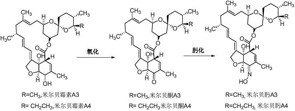 Preparation method of milbemycin oxime intermediate