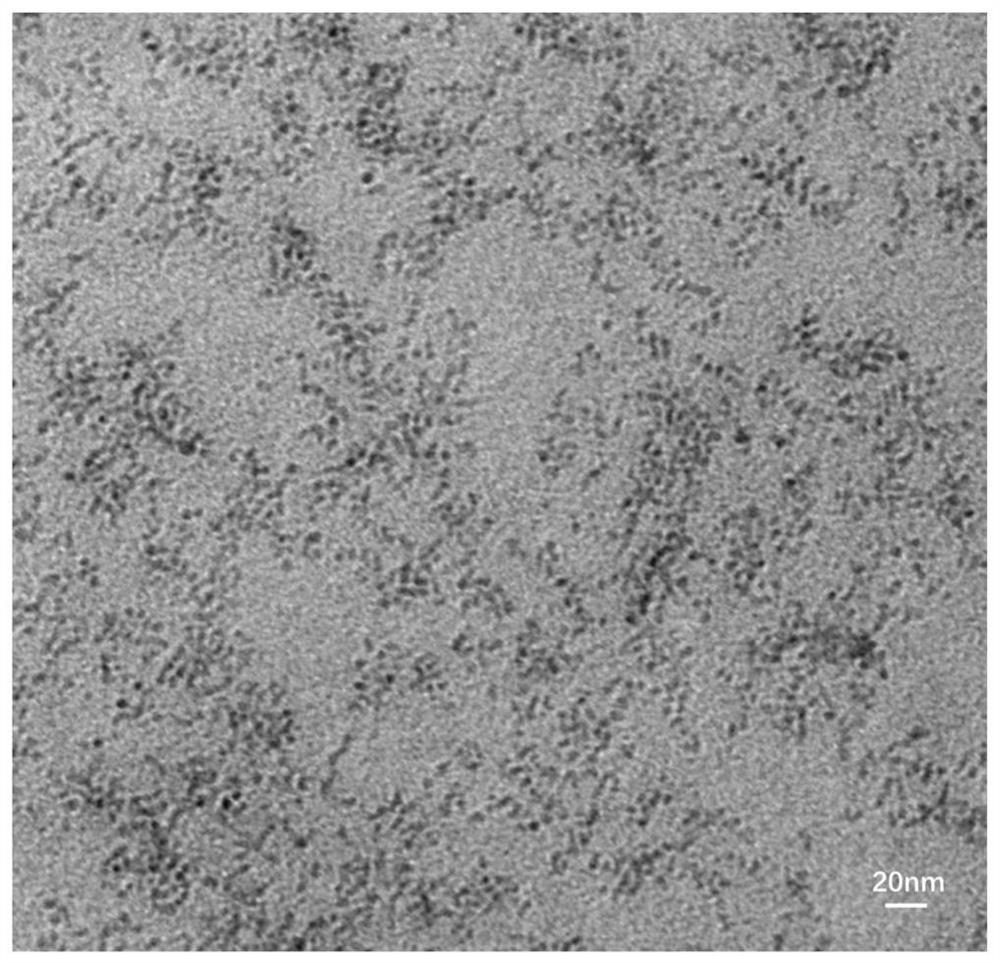 Ultra-small-size copper sulfide nano-particles as well as preparation method and application thereof