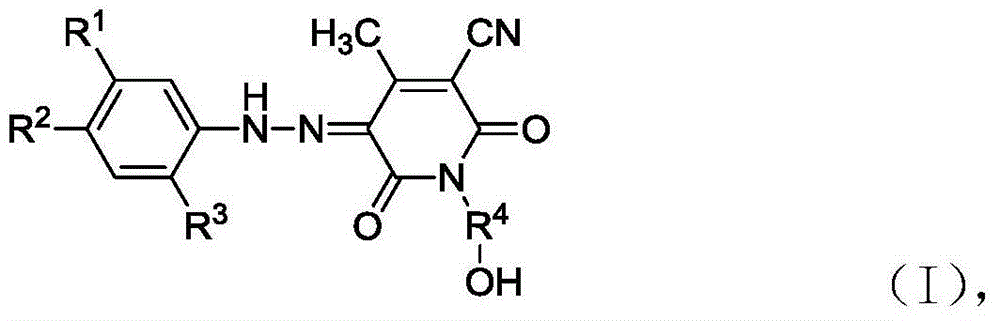 Disperse dye composition, and product and application thereof