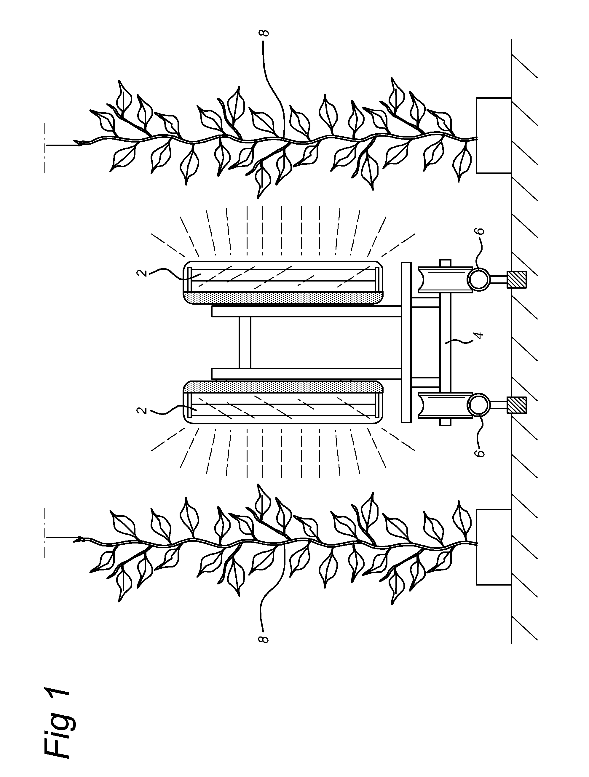Methods for Treating Live Plants or Live Plant Parts or Mushrooms with UV-C Light