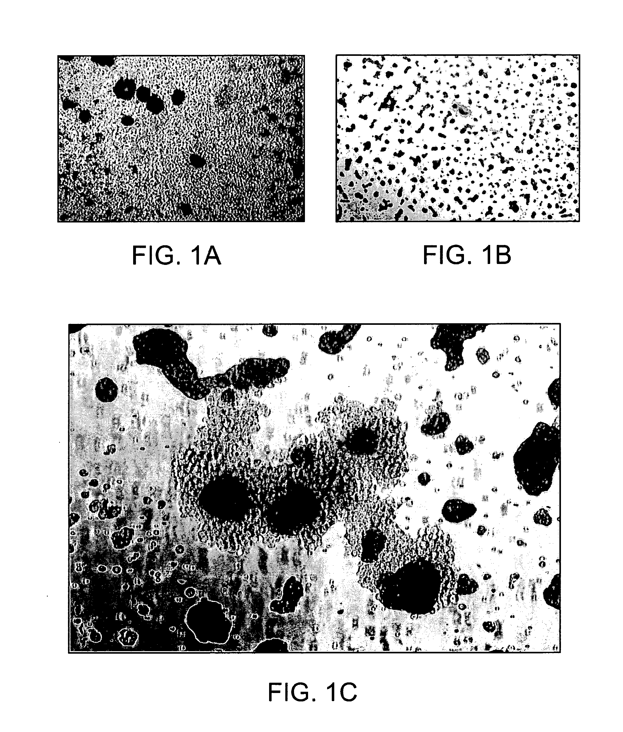 Method of Isolating Stem and Progenitor Cells From Placenta