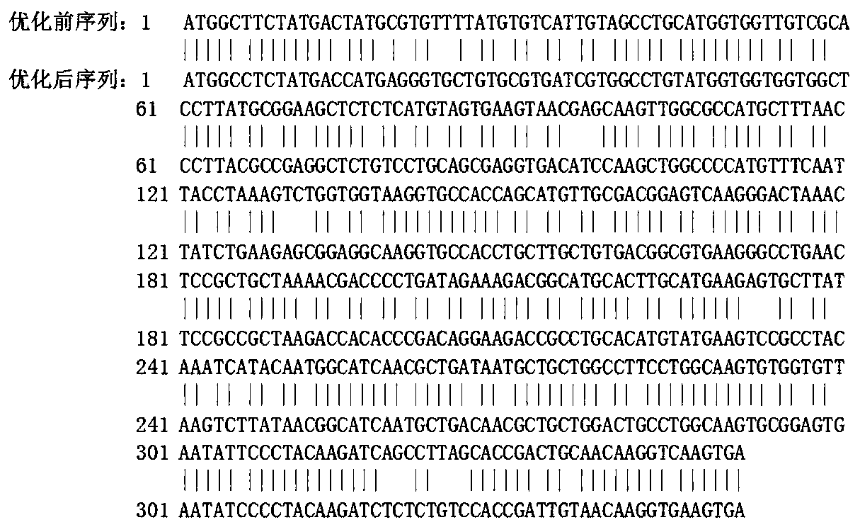 A kind of recombinant Artemisia annua Type 3 allergen protein and its application