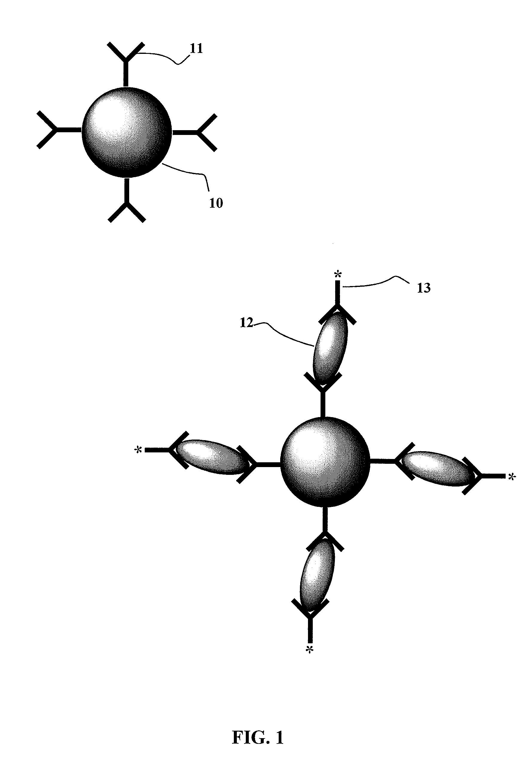 Method for the detection and neutralization of bacteria