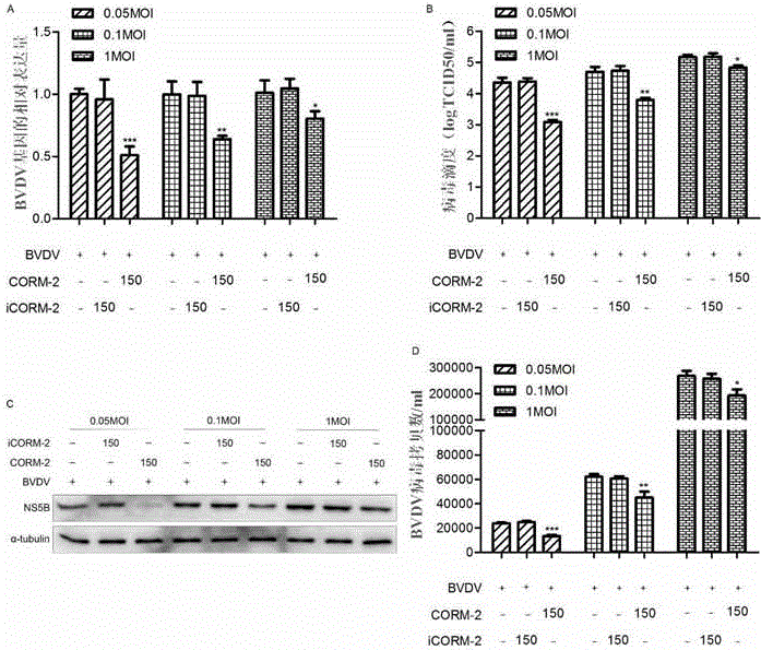 Application of carbon monoxide releasing molecules in preparation of anti-bovine viral diarrhea virus drug