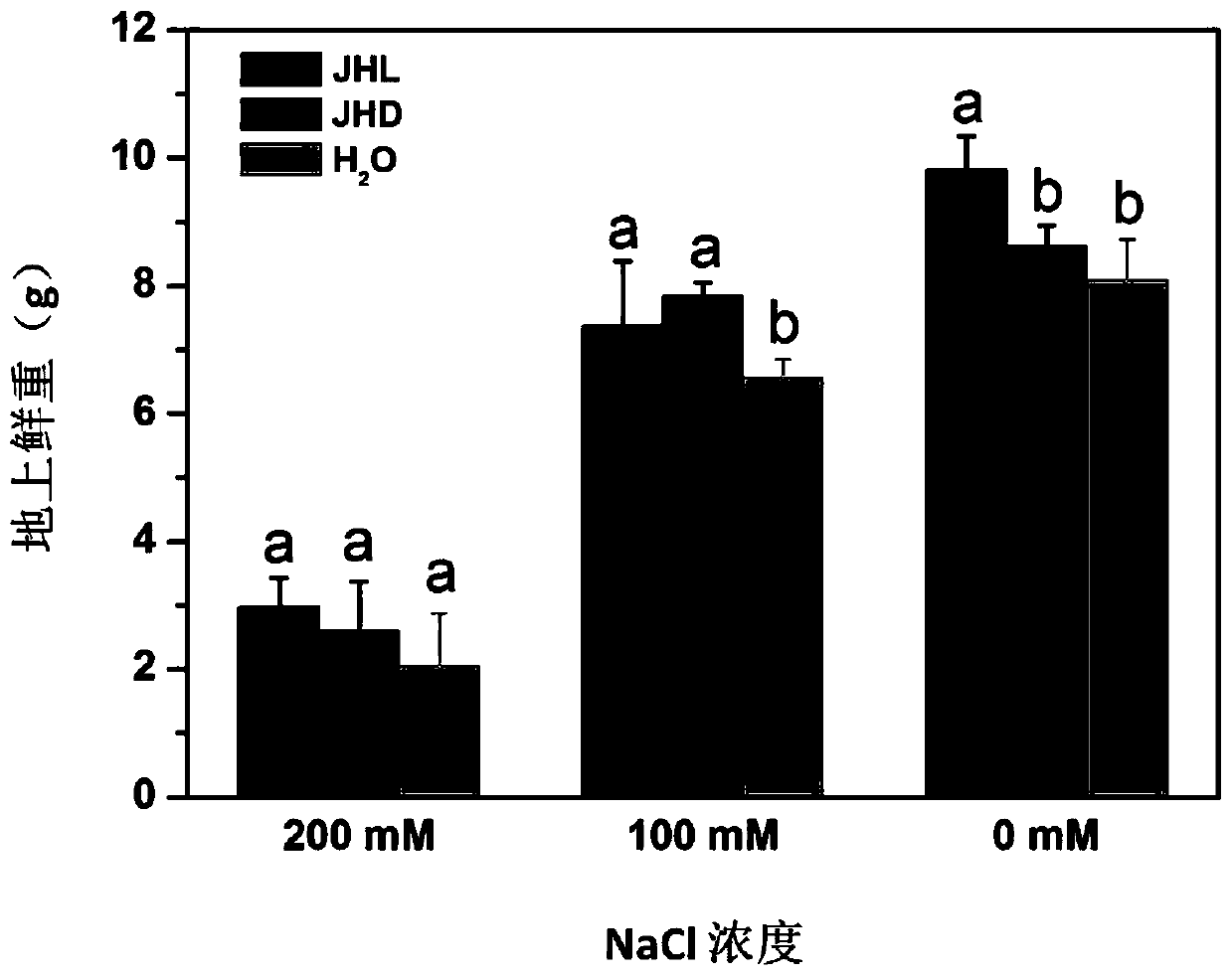 Salt-tolerant growth-promoting bacterial strain JP-JH capable of alleviating plant salt damage and applications thereof