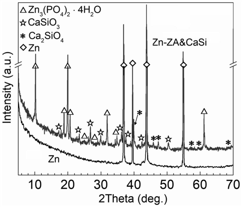 Metal-organic/inorganic hybrid coating for promoting bone regeneration and regulating and controlling corrosion on degradable metal surface and preparation method thereof