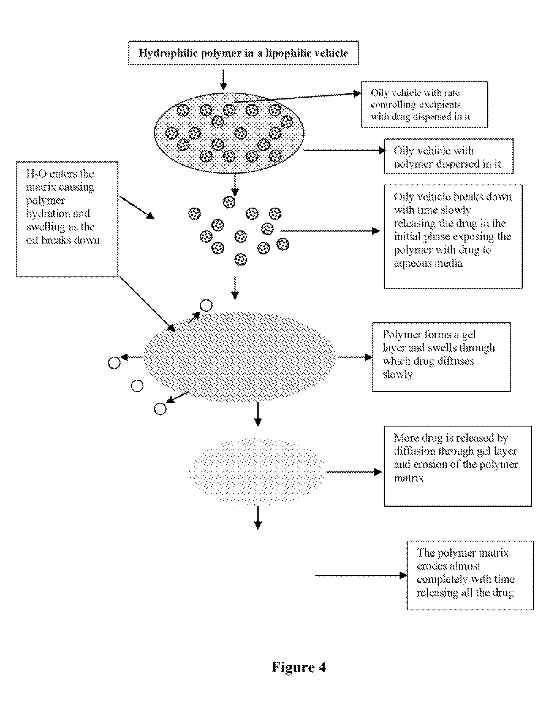 Lipophilic Vehicle-Based Dual Controlled Release Matrix System