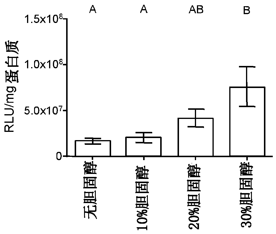 Improved lipid-peptide nanocomplex formulation for mRNA delivery to cells