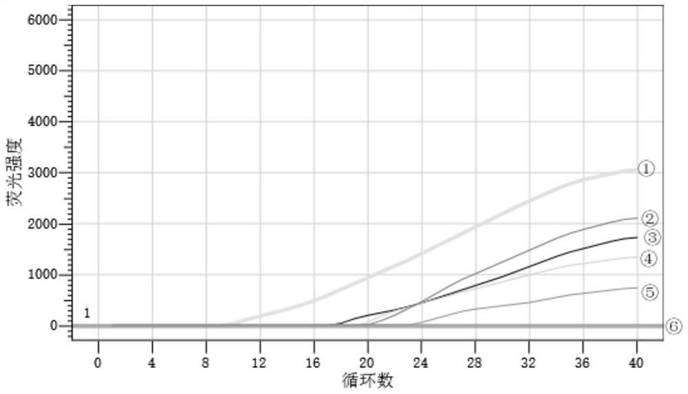 Trace nucleic acid releasing agent based on RT-RPA method as well as preparation method and application of trace nucleic acid releasing agent