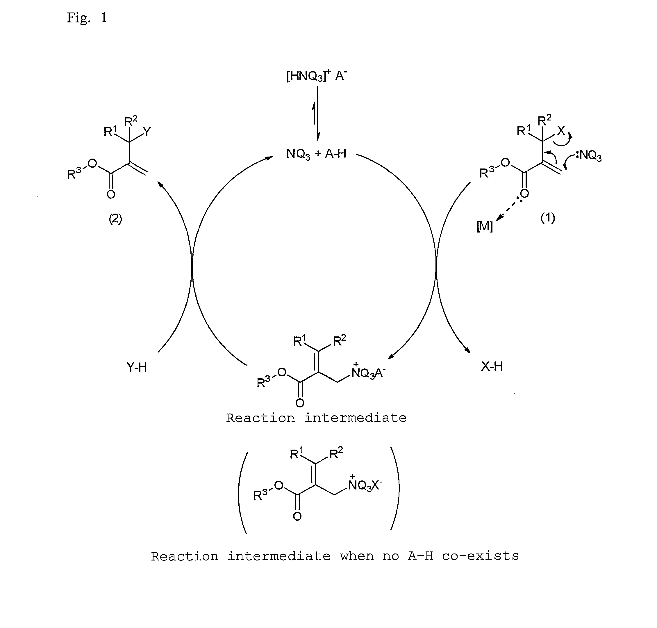 Alpha-substituted acrylate esters, composition containing thereof, and method for producing those