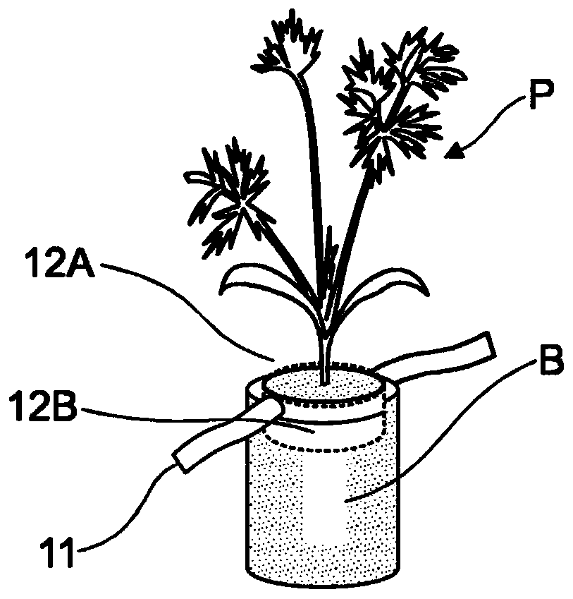 Devices and method for protecting crop plants and/or sown seeds against unwanted plants