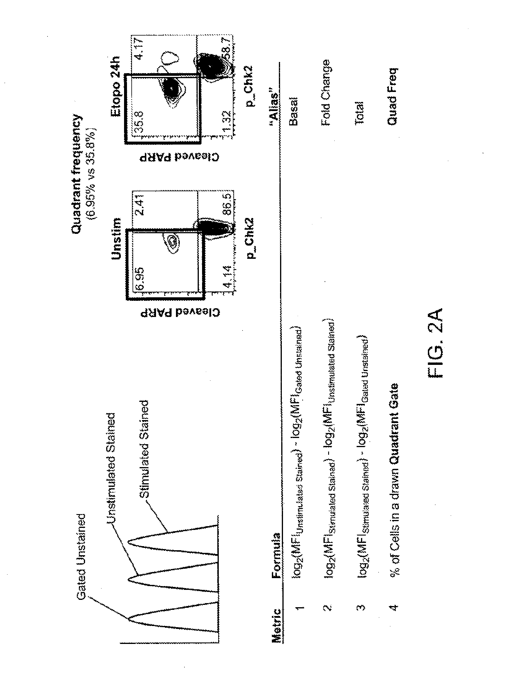 Methods for Diagnosis, Prognosis and Methods of Treatment