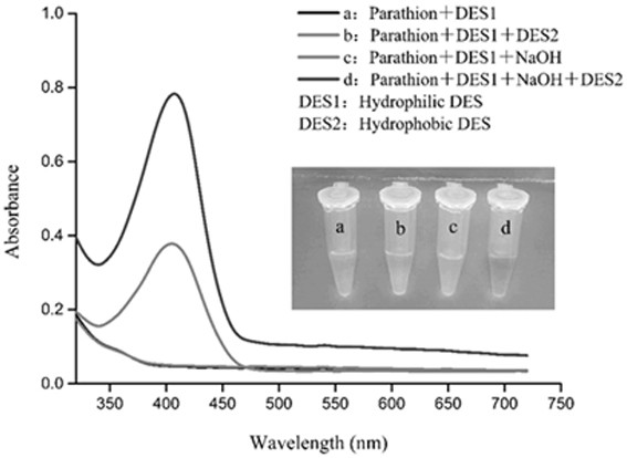 Method for determining parathion in grain based on dispersive liquid-liquid microextraction of hydrophilic and hydrophobic deep-eutectic solvent in combination with digital image colorimetric method