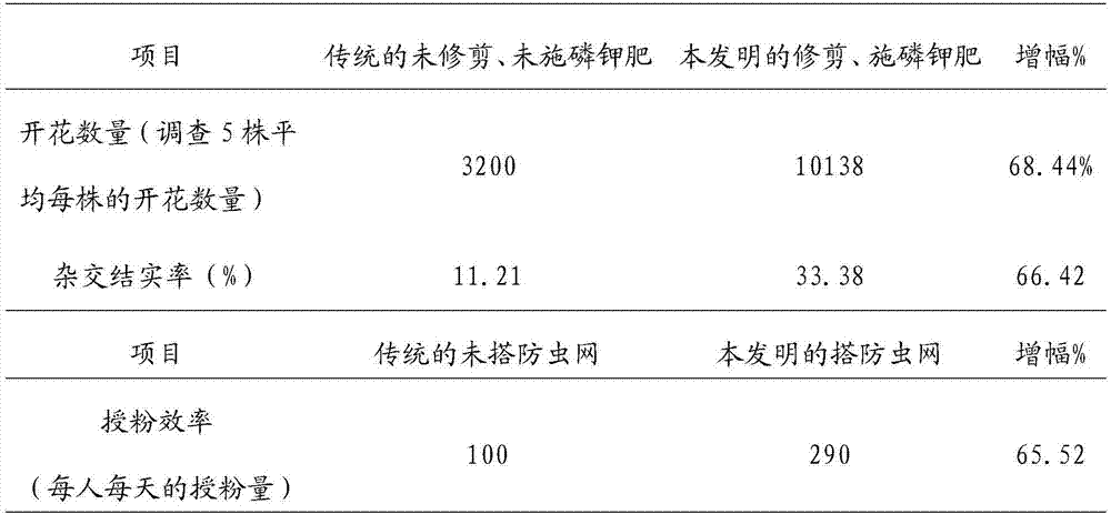 A method for increasing seed-setting rate of double-clonal tea tree hybridization