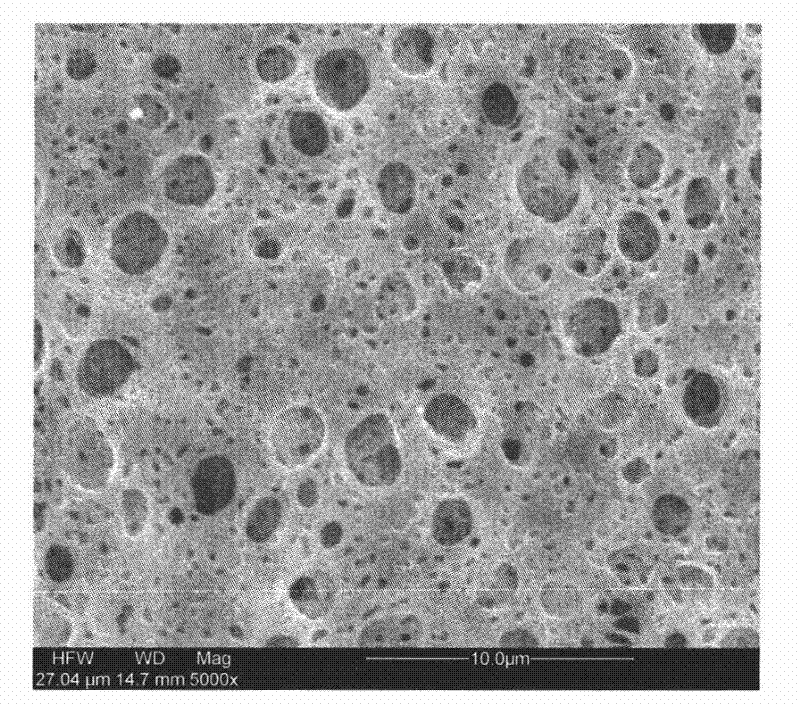 Polyionic liquid base micropore quasi solid state electrolyte preparation method and application