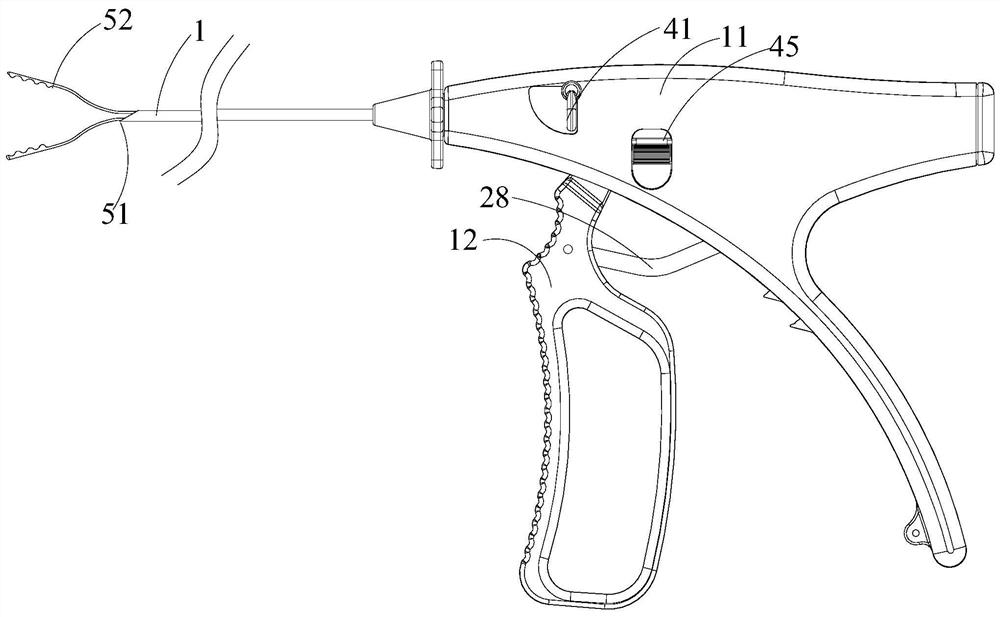 Puncture forceps and use method thereof