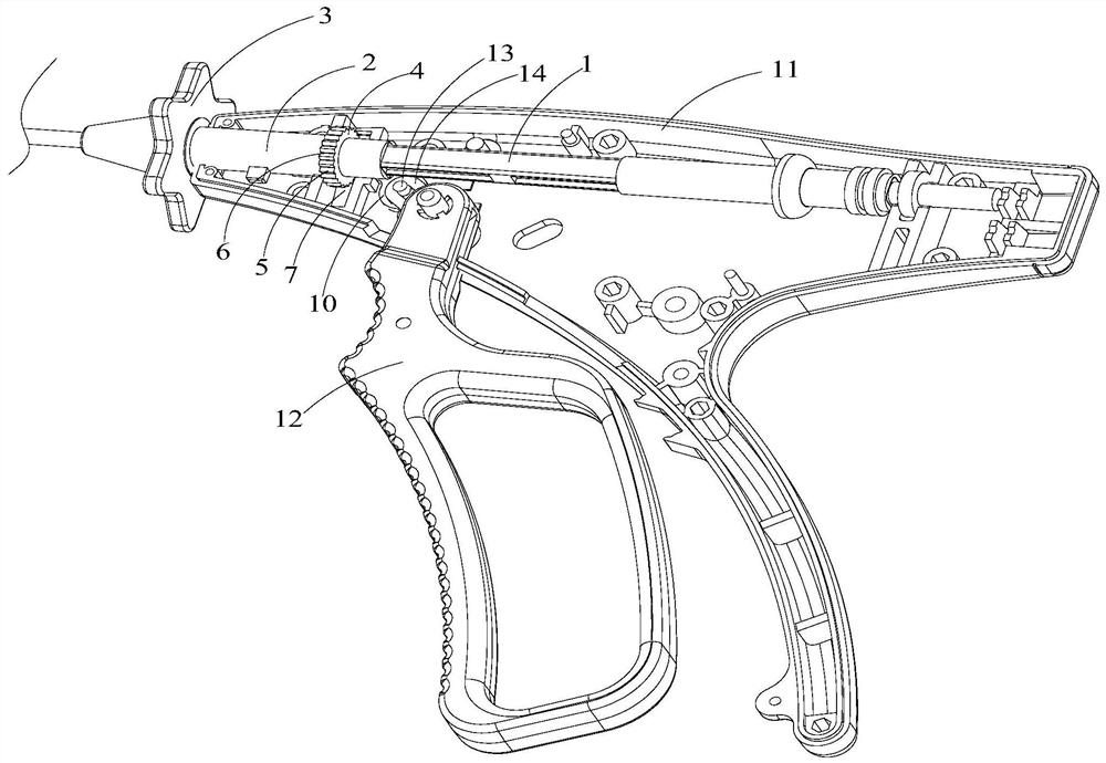 Puncture forceps and use method thereof