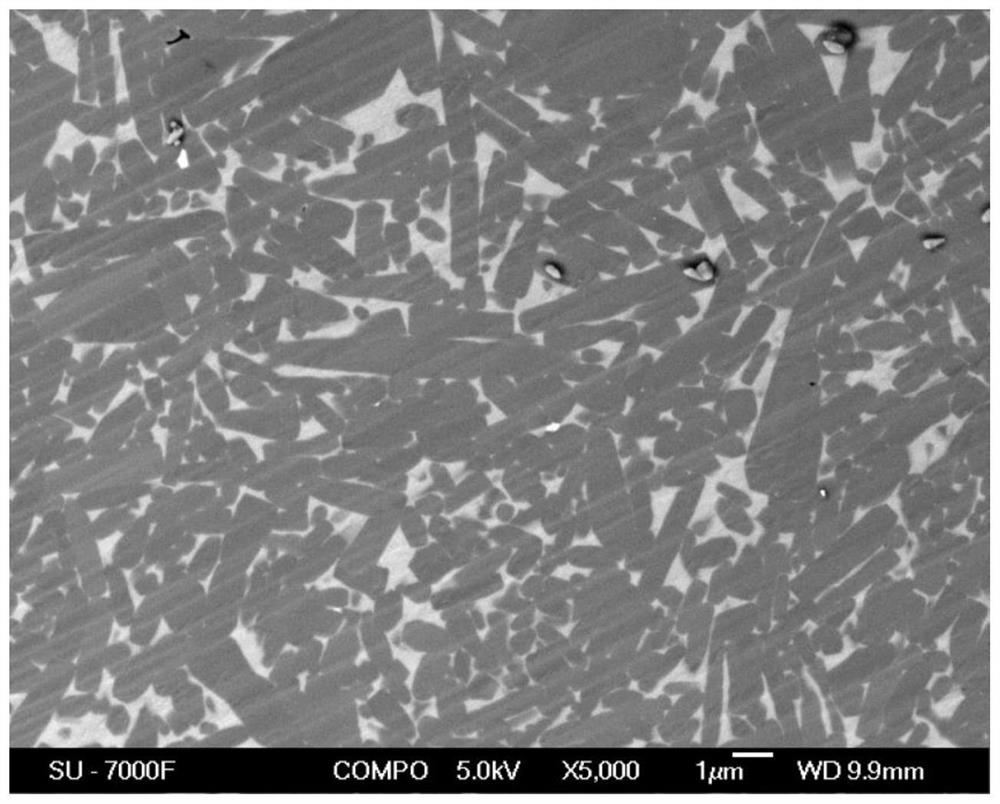 Silicon carbide whisker ceramic with typical long particle morphology and rich in lamination faults and twin crystals and preparation method thereof