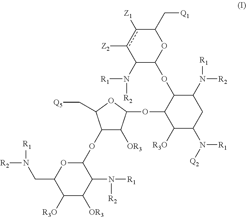 Antibacterial aminoglycoside analogs