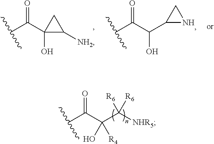 Antibacterial aminoglycoside analogs