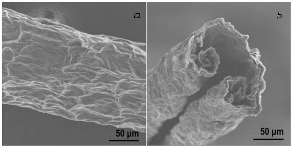 A kind of self-crimping preparation method of hollow graphene fiber and its application