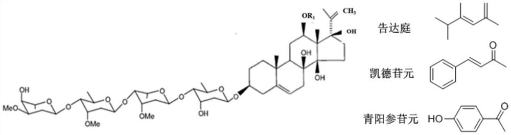 Green and efficient preparation method of cynanchum bungei short sugar chain C21 steroid glycoside